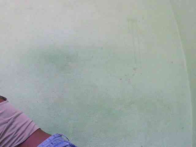 Sylvia6 webcam