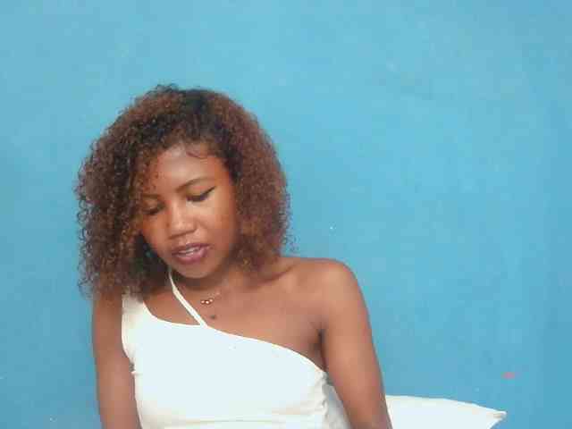 Modelo: Sylvia6