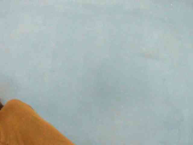 Sylvia6