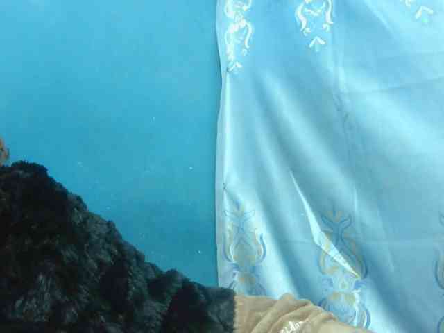 Sylvia6 webcam