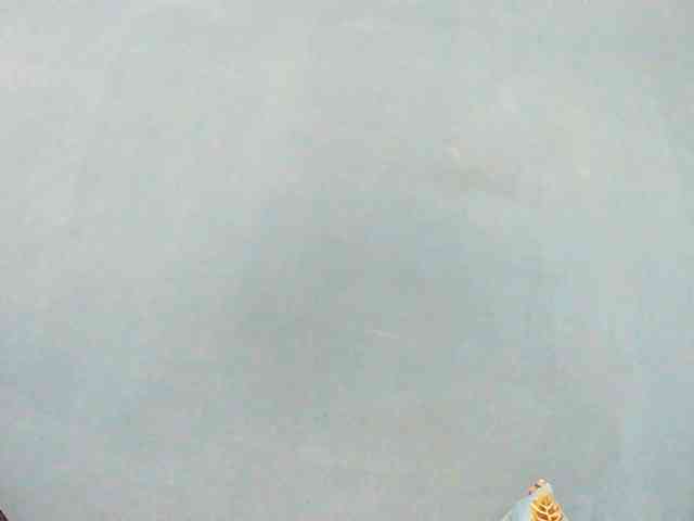 Sylvia6 webcam
