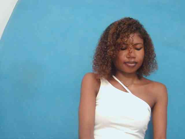 Modelo: Sylvia6