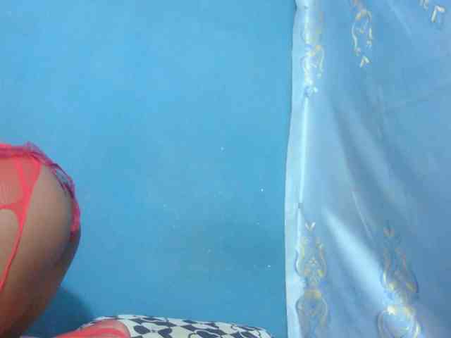 Sylvia6 webcam