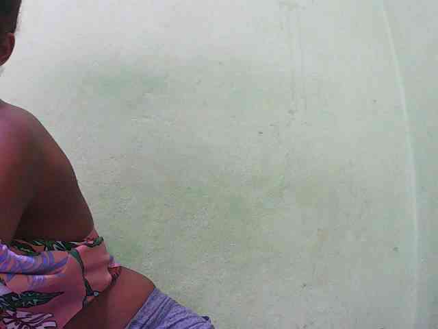Sylvia6 webcam