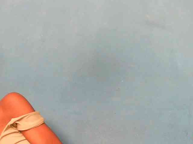 Sylvia6 webcam