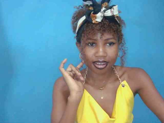 Sylvia6 webcam
