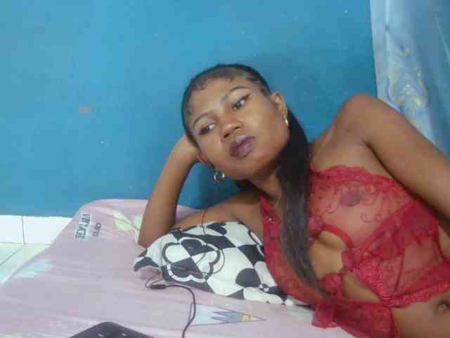 Sylvia6 webcam