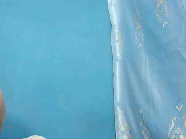 Sylvia6 webcam