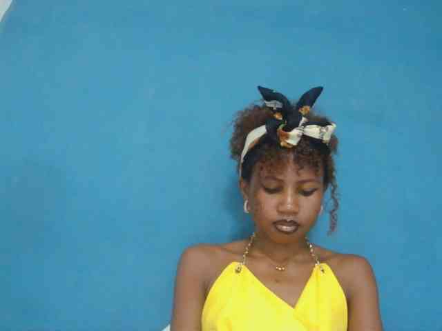 Sylvia6 webcam