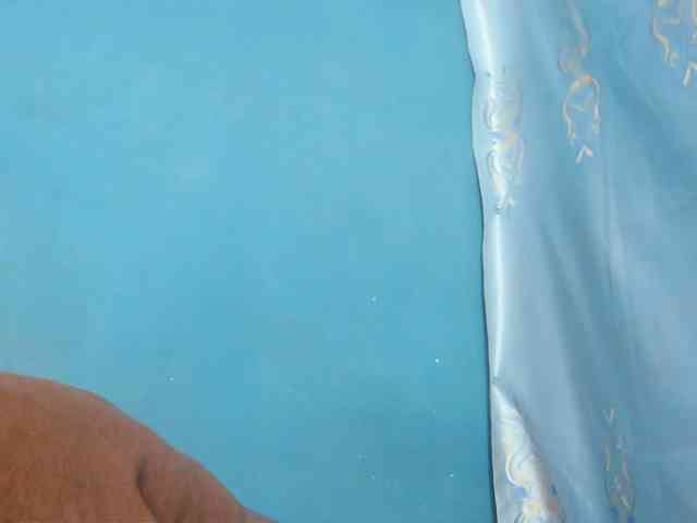 Sylvia6 webcam