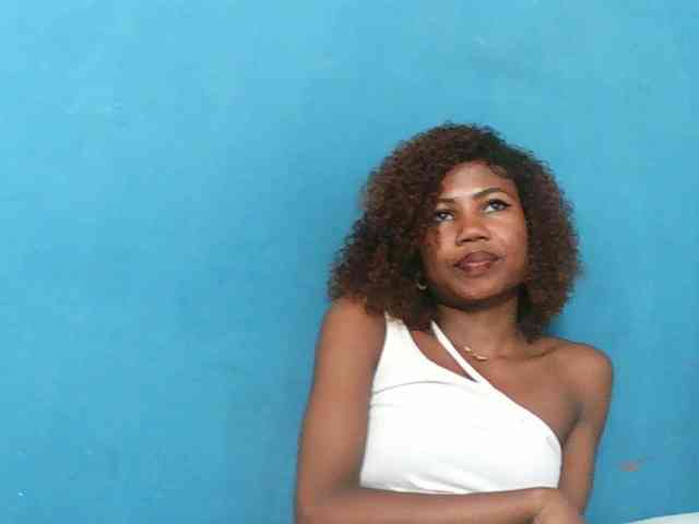 Modelo: Sylvia6