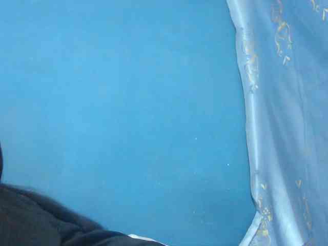Sylvia6 webcam