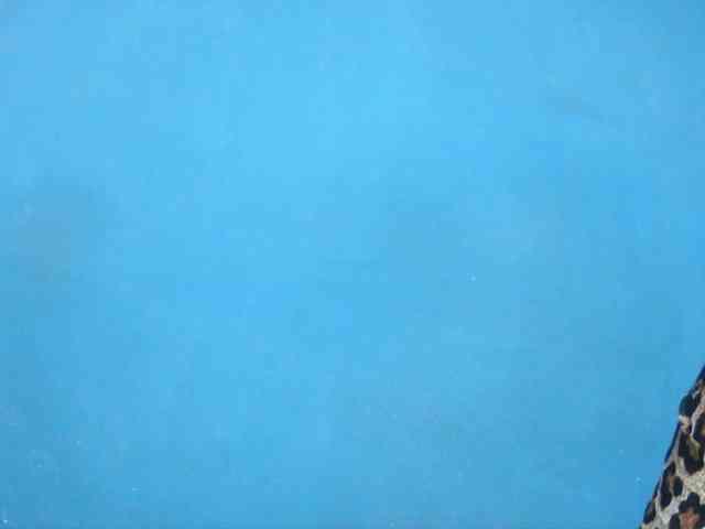 Sylvia6 webcam