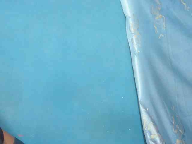 Sylvia6 webcam