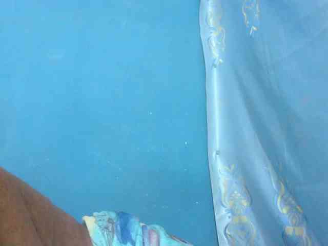 Sylvia6 webcam