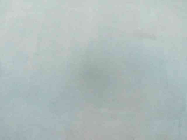 Sylvia6