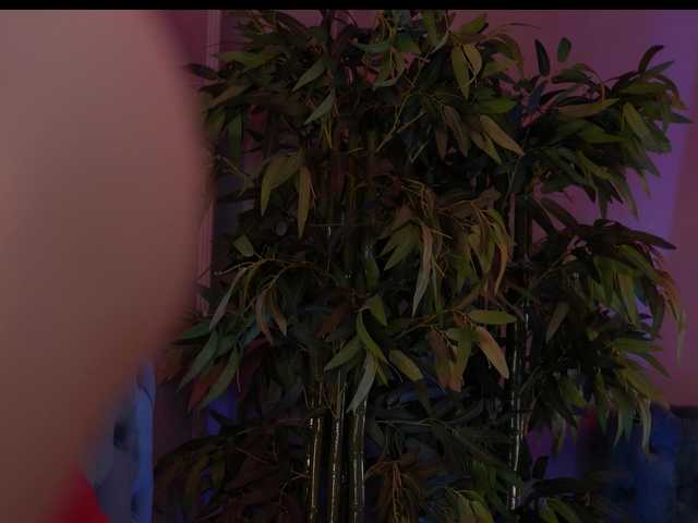 JesicaRabit live cam on BongaCams