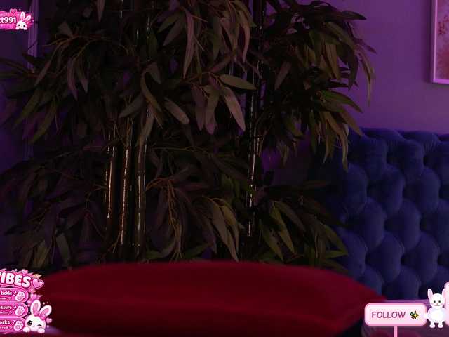 JesicaRabit live cam on BongaCams