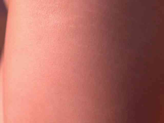 JesicaRabit