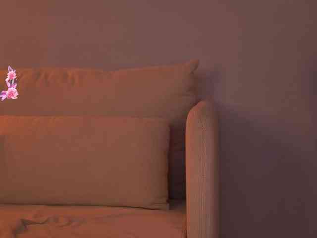 JesicaRabit webcam