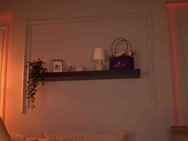 JesicaRabit webcam