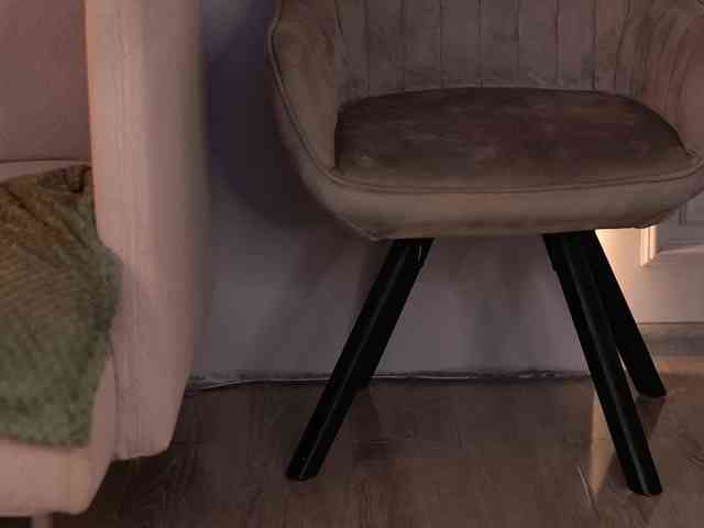 JesicaRabit webcam