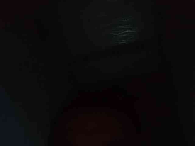 Aleks081a