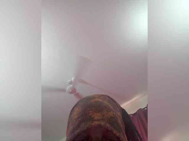 ThePeachFlexer webcam