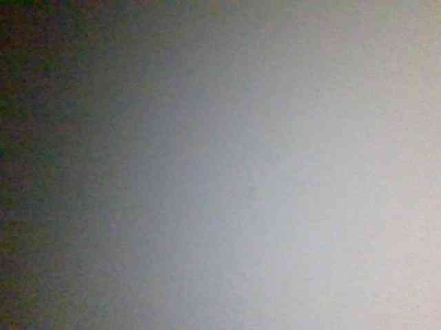 ThePeachFlexer webcam