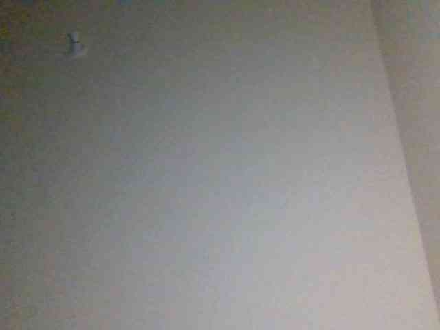 ThePeachFlexer webcam