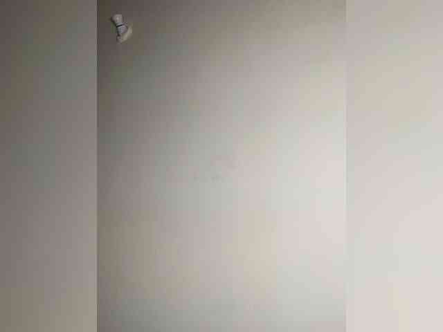 ThePeachFlexer webcam