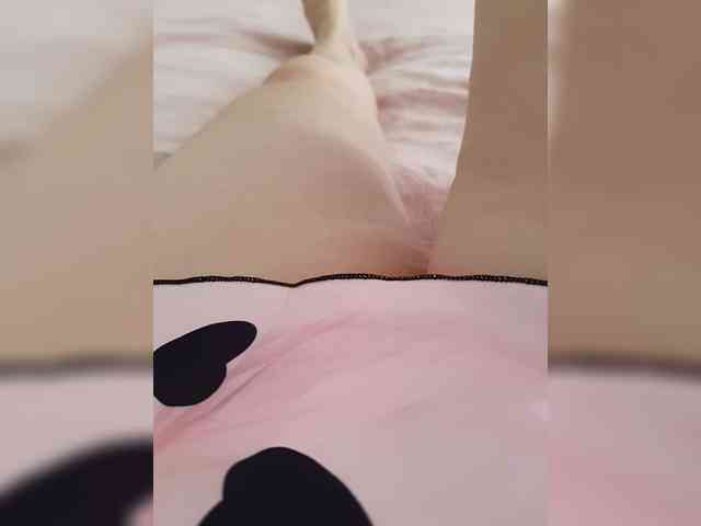 Dia42 webcam