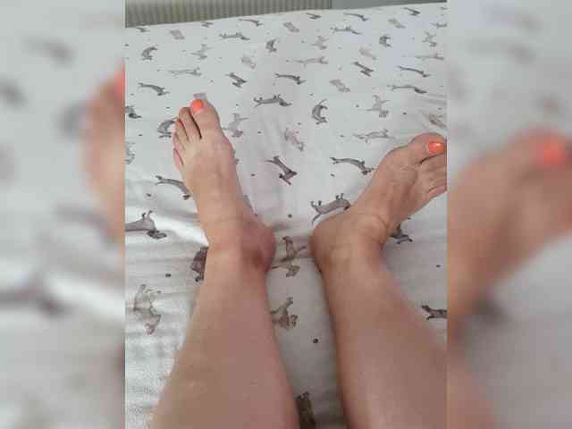 Dia42 webcam