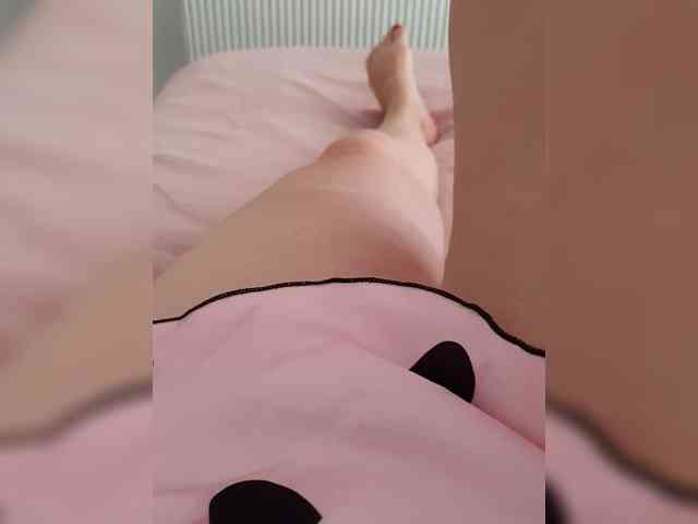 Dia42 webcam