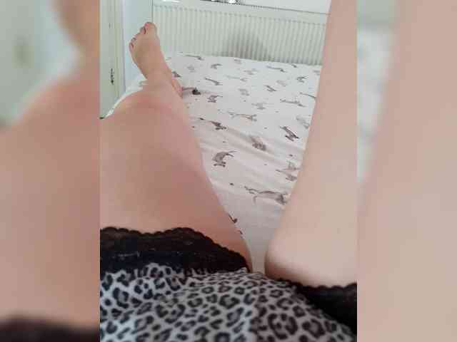 Dia42 webcam