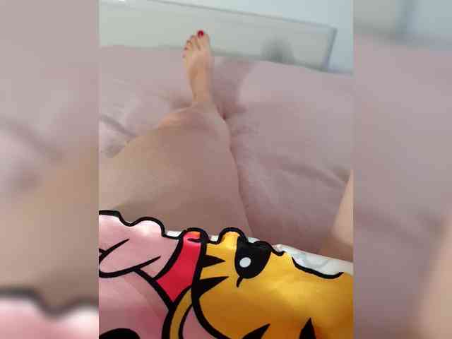 Dia42 webcam
