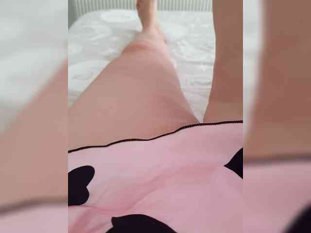 Dia42 webcam