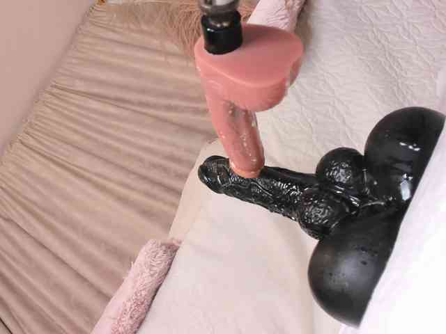 amelia-lov3 webcam