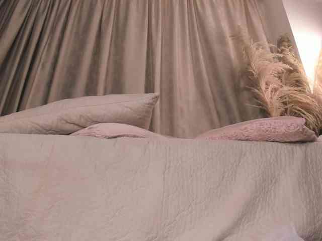 amelia-lov3 webcam