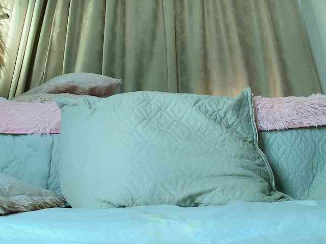 amelia-lov3 webcam