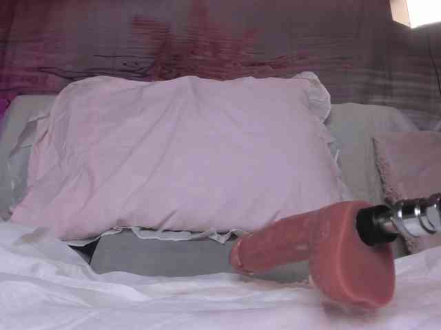 amelia-lov3 webcam