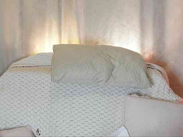 amelia-lov3 webcam
