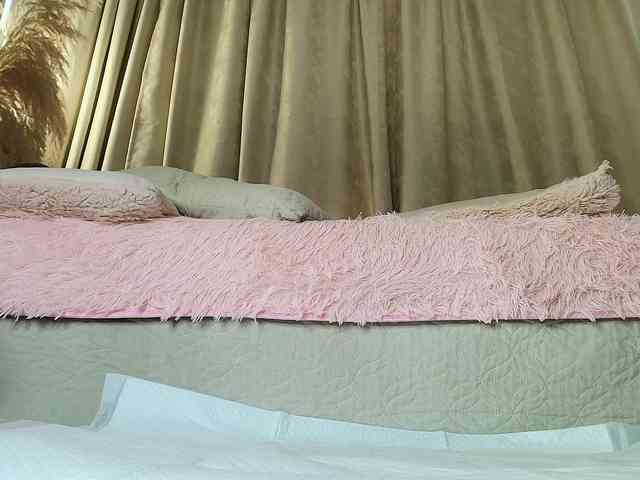 amelia-lov3 webcam