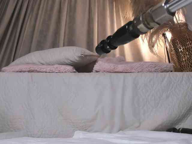 amelia-lov3 webcam