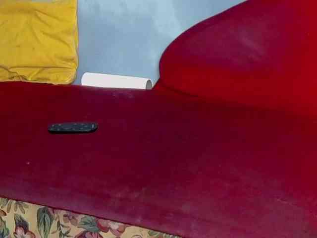 brunettedaisy webcam