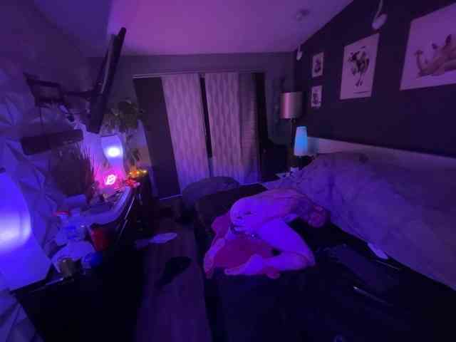 Theselilpiggiesgo