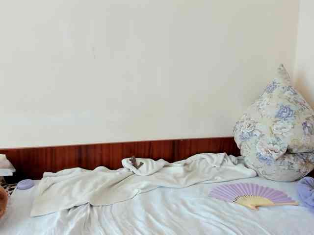 Honeykrisspussy webcam
