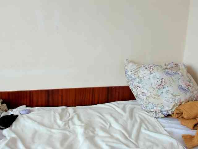 Модель: Honeykrisspussy