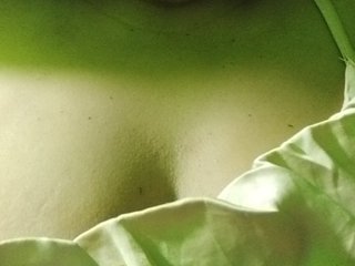 Kyrene Porn Show