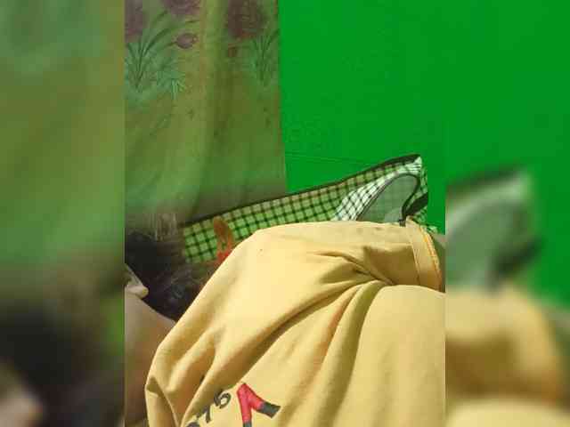 Kyrene webcam